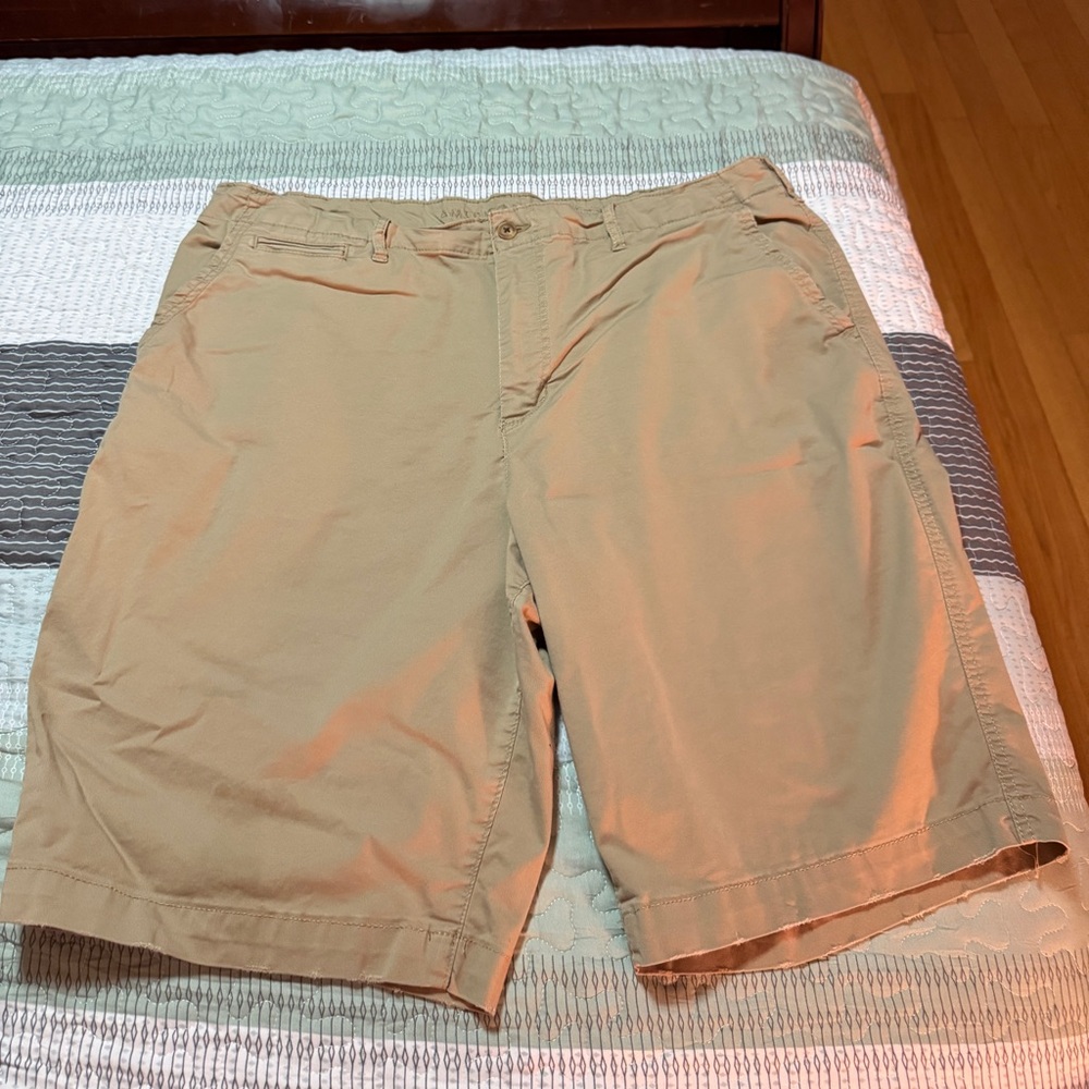 American Eagle Outfitters Tan Flat Front Shorts